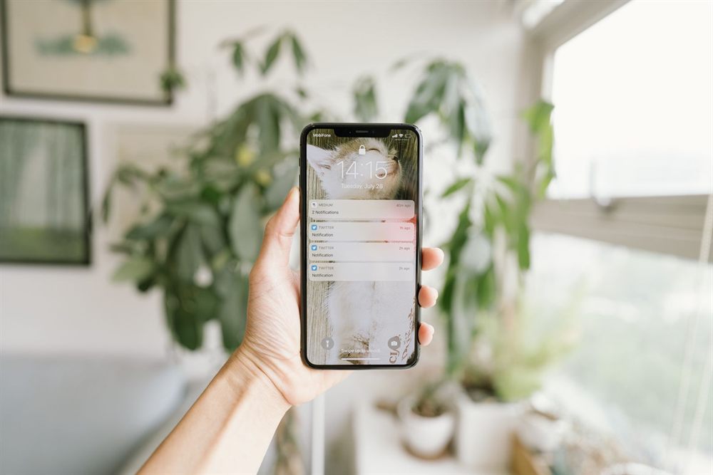 Hand holding up a smartphone in a bright room with plants